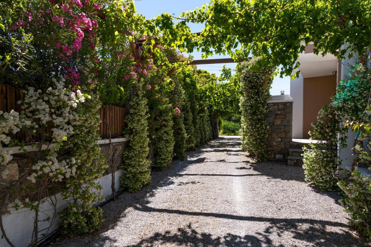 Horizon Line Villas Kiotari Esterno foto